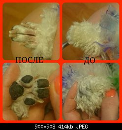 Нажмите на изображение для увеличения
Название: collage_20150115224152361_20150115224904339.jpg
Просмотров: 482
Размер:	414.3 Кб
ID:	75133