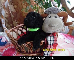 Нажмите на изображение для увеличения
Название: SAM_1277.JPG
Просмотров: 246
Размер:	158.8 Кб
ID:	75171