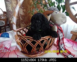 Нажмите на изображение для увеличения
Название: SAM_1278.JPG
Просмотров: 252
Размер:	179.3 Кб
ID:	75181