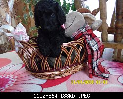 Нажмите на изображение для увеличения
Название: SAM_1295.JPG
Просмотров: 255
Размер:	188.0 Кб
ID:	75183