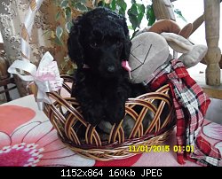 Нажмите на изображение для увеличения
Название: SAM_1296.JPG
Просмотров: 196
Размер:	160.1 Кб
ID:	75185