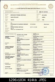 Нажмите на изображение для увеличения
Название: 20150117_222003.jpg
Просмотров: 321
Размер:	414.2 Кб
ID:	75194