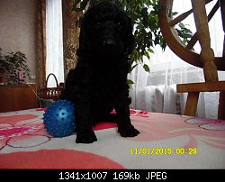 Нажмите на изображение для увеличения
Название: 11225.JPG
Просмотров: 206
Размер:	168.7 Кб
ID:	75238