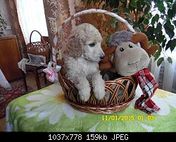Нажмите на изображение для увеличения
Название: 1301.JPG
Просмотров: 295
Размер:	158.8 Кб
ID:	75241