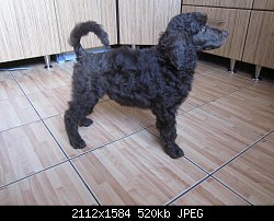 Нажмите на изображение для увеличения
Название: IMG_3079.jpg
Просмотров: 265
Размер:	520.2 Кб
ID:	75465