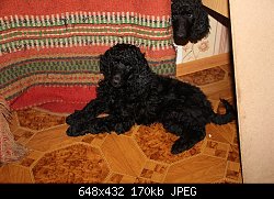 Нажмите на изображение для увеличения
Название: IMG_3108 - копия (2).JPG
Просмотров: 231
Размер:	169.5 Кб
ID:	75666