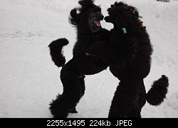 Нажмите на изображение для увеличения
Название: DSC_1198.jpg
Просмотров: 173
Размер:	224.4 Кб
ID:	75770
