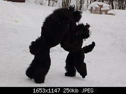 Нажмите на изображение для увеличения
Название: DSC_1200-.jpg
Просмотров: 180
Размер:	250.5 Кб
ID:	75771