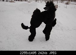 Нажмите на изображение для увеличения
Название: DSC_1201.jpg
Просмотров: 176
Размер:	241.9 Кб
ID:	75772
