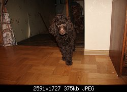 Нажмите на изображение для увеличения
Название: IMG_3163 - копия.jpg
Просмотров: 206
Размер:	374.6 Кб
ID:	75776