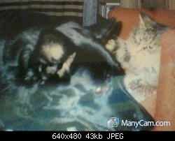 Нажмите на изображение для увеличения
Название: My Snapshot10.jpg
Просмотров: 314
Размер:	43.2 Кб
ID:	75799