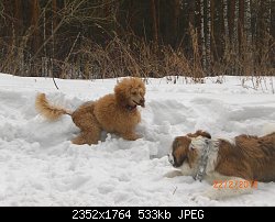 Нажмите на изображение для увеличения
Название: CIMG6567.jpg
Просмотров: 159
Размер:	533.5 Кб
ID:	75939