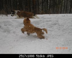 Нажмите на изображение для увеличения
Название: CIMG6569.jpg
Просмотров: 178
Размер:	516.2 Кб
ID:	75940