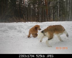 Нажмите на изображение для увеличения
Название: CIMG6568.jpg
Просмотров: 161
Размер:	525.0 Кб
ID:	75941