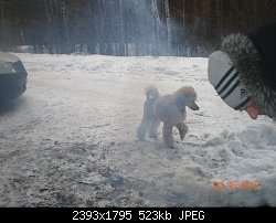 Нажмите на изображение для увеличения
Название: CIMG6563.jpg
Просмотров: 173
Размер:	523.1 Кб
ID:	75942