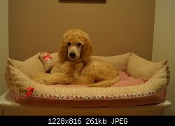 Нажмите на изображение для увеличения
Название: DSC039891111.jpg
Просмотров: 969
Размер:	261.0 Кб
ID:	75995