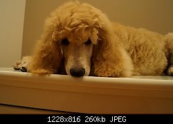 Нажмите на изображение для увеличения
Название: DSC1111111.jpg
Просмотров: 939
Размер:	259.7 Кб
ID:	75998