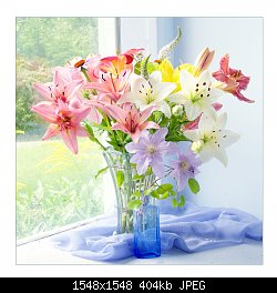 Нажмите на изображение для увеличения
Название: flowers-lilys-wallpapers-hd-14.jpeg
Просмотров: 148
Размер:	403.5 Кб
ID:	76402