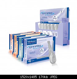 Нажмите на изображение для увеличения
Название: effipro-09w9.jpg
Просмотров: 267
Размер:	169.7 Кб
ID:	76583