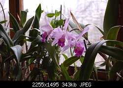 Нажмите на изображение для увеличения
Название: DSC_1211.jpg
Просмотров: 218
Размер:	343.3 Кб
ID:	76683