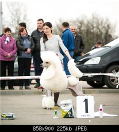 Нажмите на изображение для увеличения
Название: 11173694_10202619230160201_1528326669_n.jpg
Просмотров: 372
Размер:	225.3 Кб
ID:	76828