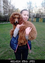 Нажмите на изображение для увеличения
Название: Resize of image.jpg
Просмотров: 362
Размер:	64.6 Кб
ID:	76913