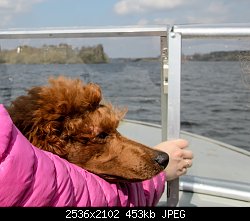 Нажмите на изображение для увеличения
Название: DSC_88652.jpg
Просмотров: 206
Размер:	452.8 Кб
ID:	76916
