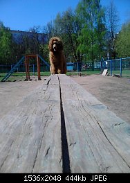 Нажмите на изображение для увеличения
Название: DSC_0437.jpg
Просмотров: 234
Размер:	444.1 Кб
ID:	76972