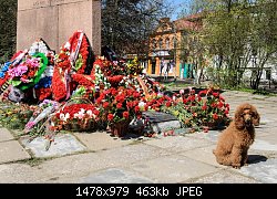 Нажмите на изображение для увеличения
Название: Resize of DSC_9041.jpg
Просмотров: 262
Размер:	463.2 Кб
ID:	77033