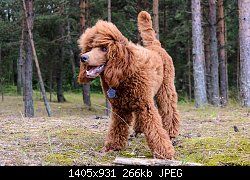 Нажмите на изображение для увеличения
Название: Resize of DSC_0255.jpg
Просмотров: 159
Размер:	266.4 Кб
ID:	77822