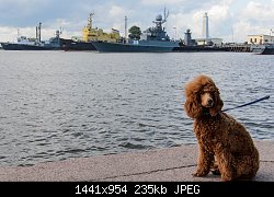 Нажмите на изображение для увеличения
Название: Resize of DSC_0397.jpg
Просмотров: 143
Размер:	235.2 Кб
ID:	77825