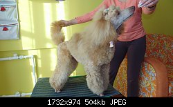 Нажмите на изображение для увеличения
Название: вик.jpg
Просмотров: 150
Размер:	503.6 Кб
ID:	78195