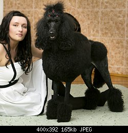 Нажмите на изображение для увеличения
Название: wwwIMG_5903_web copy.jpg
Просмотров: 260
Размер:	164.7 Кб
ID:	78528