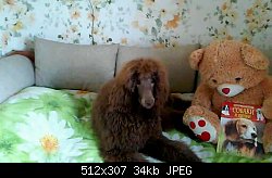 Нажмите на изображение для увеличения
Название: 1436259800576.jpg
Просмотров: 311
Размер:	34.2 Кб
ID:	78545