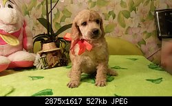 Нажмите на изображение для увеличения
Название: 20150929_221036.jpg
Просмотров: 179
Размер:	526.5 Кб
ID:	78803
