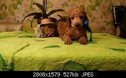 Нажмите на изображение для увеличения
Название: 20150929_220658.jpg
Просмотров: 188
Размер:	526.9 Кб
ID:	78804