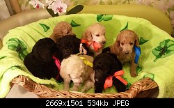 Нажмите на изображение для увеличения
Название: 20150929_221530.jpg
Просмотров: 205
Размер:	534.3 Кб
ID:	78808