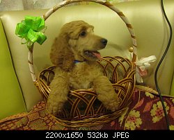 Нажмите на изображение для увеличения
Название: IMG_3281.jpg
Просмотров: 189
Размер:	532.0 Кб
ID:	78990