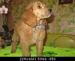 Нажмите на изображение для увеличения
Название: IMG_3396.jpg
Просмотров: 177
Размер:	530.5 Кб
ID:	78992