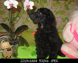 Нажмите на изображение для увеличения
Название: IMG_3406.jpg
Просмотров: 159
Размер:	532.5 Кб
ID:	78995