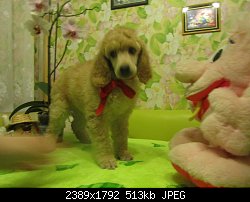 Нажмите на изображение для увеличения
Название: IMG_3415.jpg
Просмотров: 181
Размер:	512.8 Кб
ID:	78997