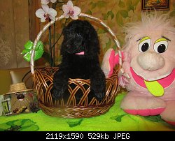 Нажмите на изображение для увеличения
Название: IMG_3423.jpg
Просмотров: 157
Размер:	528.9 Кб
ID:	78999