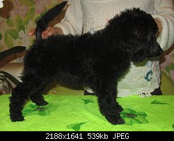 Нажмите на изображение для увеличения
Название: IMG_3401.jpg
Просмотров: 160
Размер:	539.3 Кб
ID:	79002