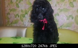 Нажмите на изображение для увеличения
Название: image-b097db192ae071aca0a9f0ae2436baadcaebc11dc959f61d02d807eaf2a493e4-V.jpg
Просмотров: 182
Размер:	247.0 Кб
ID:	79570