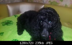 Нажмите на изображение для увеличения
Название: image-3ca64a33176a4c5e87c40e130d39f5e264903acd0efe40c59d40c514660fb6db-V.jpg
Просмотров: 168
Размер:	235.1 Кб
ID:	79571