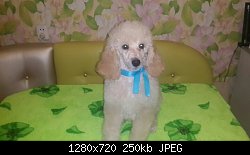 Нажмите на изображение для увеличения
Название: image-a4958fc239a59651853d82589d37169a147cdc89c3320426dfe434f1ad2073ec-V.jpg
Просмотров: 146
Размер:	250.0 Кб
ID:	79576