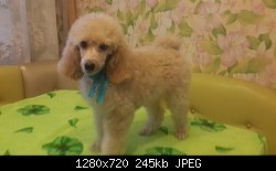 Нажмите на изображение для увеличения
Название: image-d19008a2b95060efe677653306b8213f28f1d735836c6c5e7eedf02de9811a68-V.jpg
Просмотров: 145
Размер:	245.5 Кб
ID:	79577
