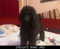 Нажмите на изображение для увеличения
Название: IMG_20151117_220914.jpg
Просмотров: 165
Размер:	509.4 Кб
ID:	79607