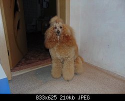 Нажмите на изображение для увеличения
Название: 008.jpg
Просмотров: 360
Размер:	209.7 Кб
ID:	79696