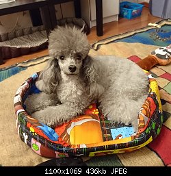 Нажмите на изображение для увеличения
Название: IMG-20151213-WA0000.jpeg
Просмотров: 509
Размер:	435.8 Кб
ID:	80066